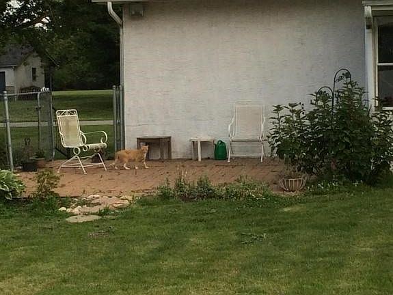 5th image of 6532 Tamara Ave