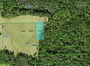 Green Pond Rd #81, Polk City, FL 33868