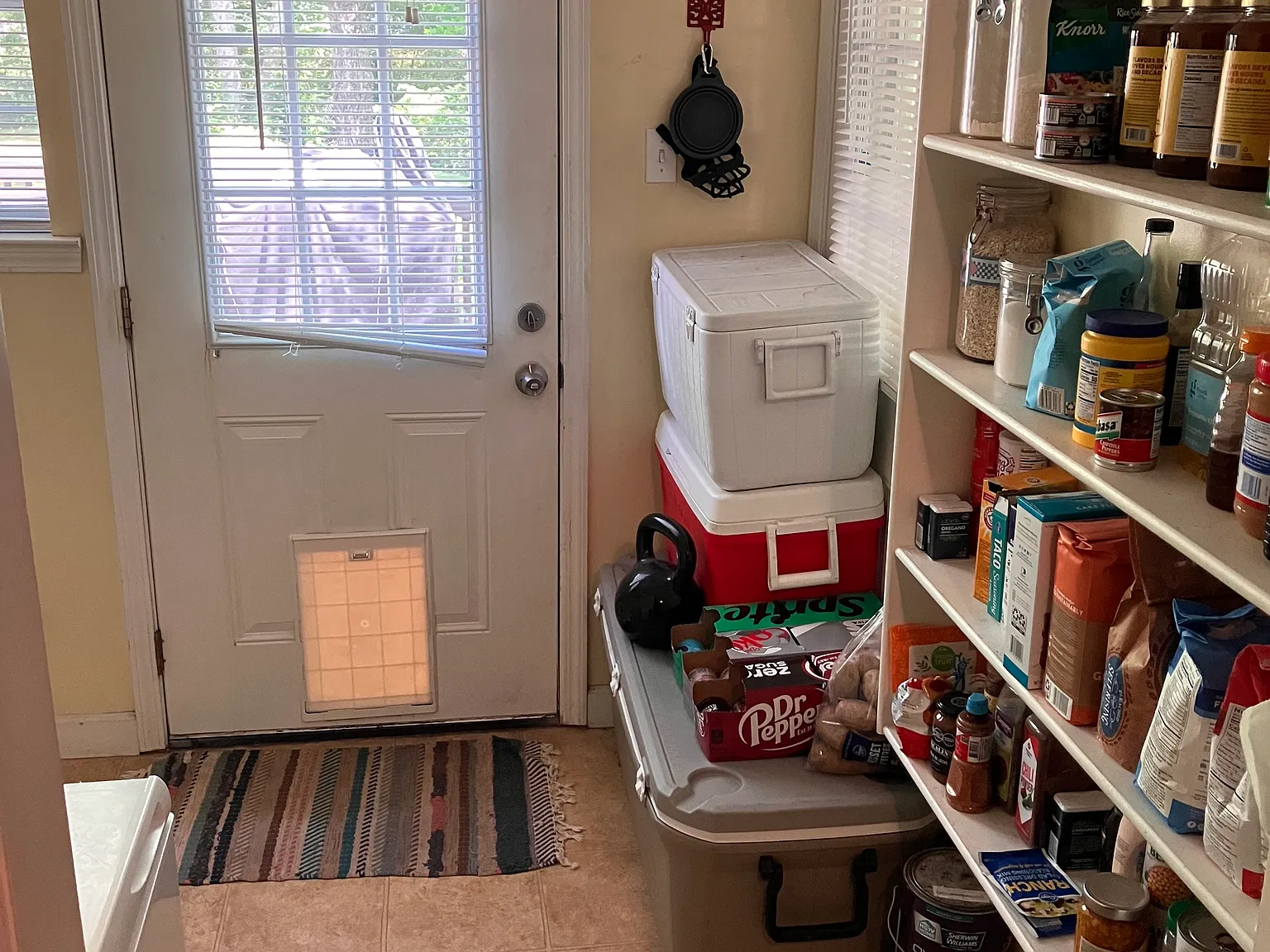 3 bed, 1231 sqft, $1,800 — Photo 4