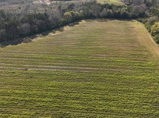 LOT 8 Gilley Mill Rd, Headland, AL 36345