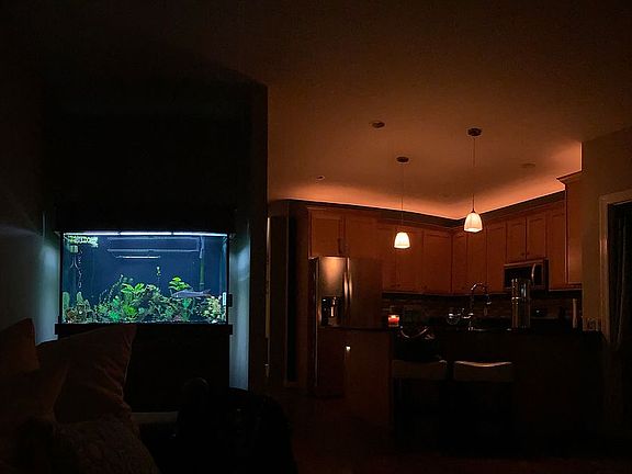 145 GALLON FISH TANK