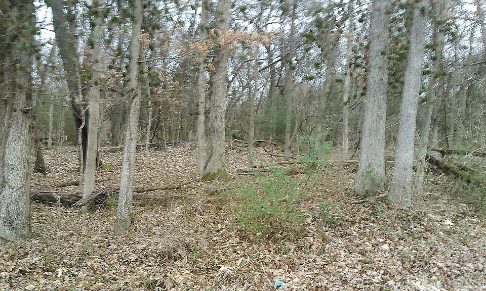 1st image of 162 Cross Ln