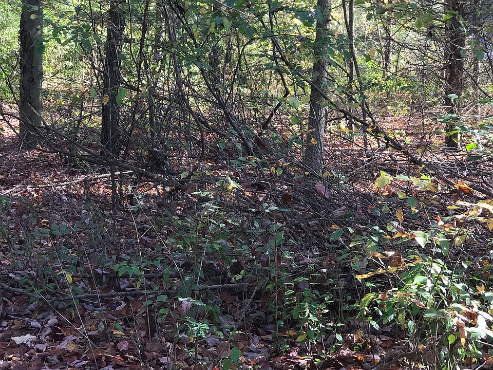 2nd image of 48744 Wear Rd