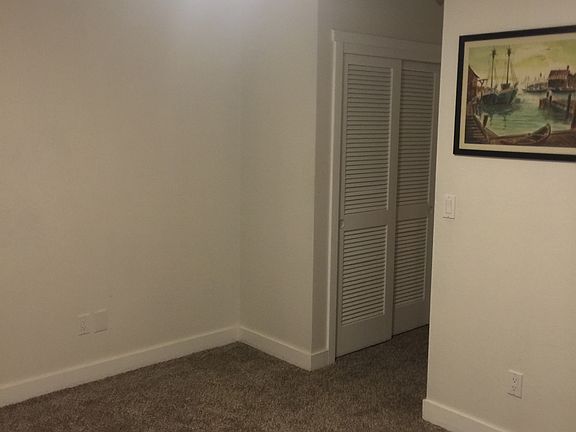 New carpet