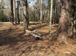 1 McClains Rd #2, Shepherd, TX 77371