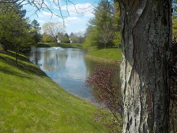 3rd image of 6333 Wismer Cir
