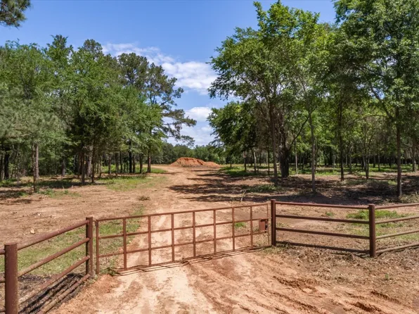 Vz County Road 4904, Ben Wheeler, TX 75754