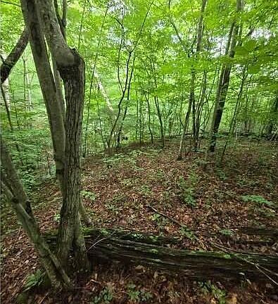 2nd image of 0 Beechmont Rd