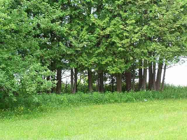 2nd image of Parcel B Crozier Road