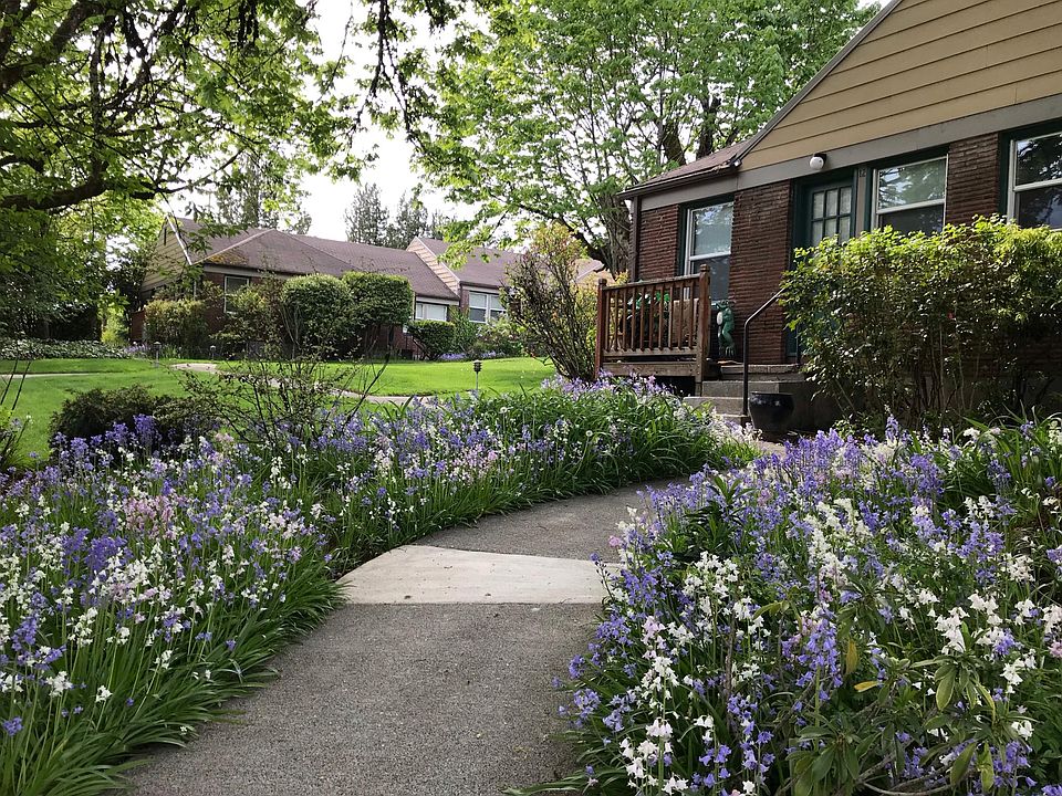 Grounds