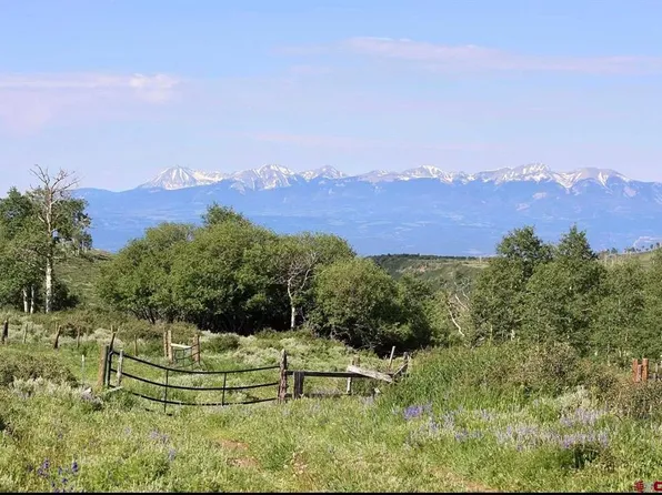 12951 MS Road, Gateway, CO 81522