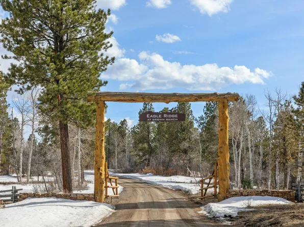 280 Sage Grouse N, Placerville, CO 81430