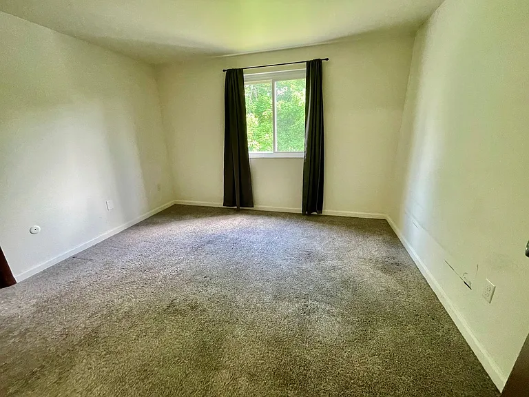 946 Carle Street — Photo 7