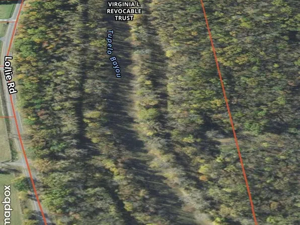 820 Lollie Rd, Mayflower, AR 72106