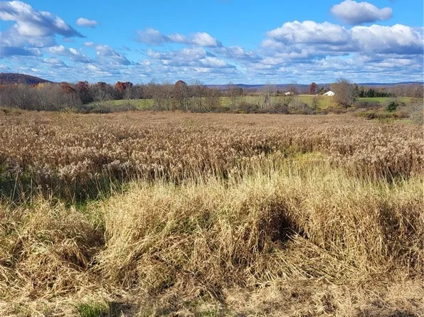 239 Vargo Rd Lot D, Horseheads, NY 14845