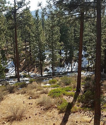 Bay window view from dining 
