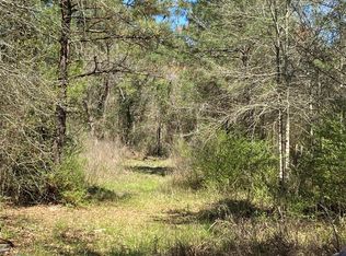 33070 Willow Bend Rd, Plantersville, TX 77363