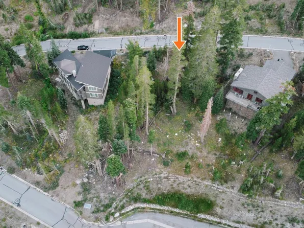 0 Palisades Dr, Pioneer, CA 95666