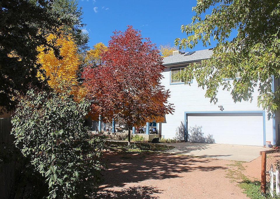 The Autumn Ash is gorgeous. 