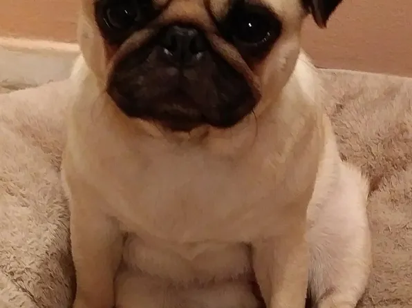 7000 Blvd East image 26 of 32