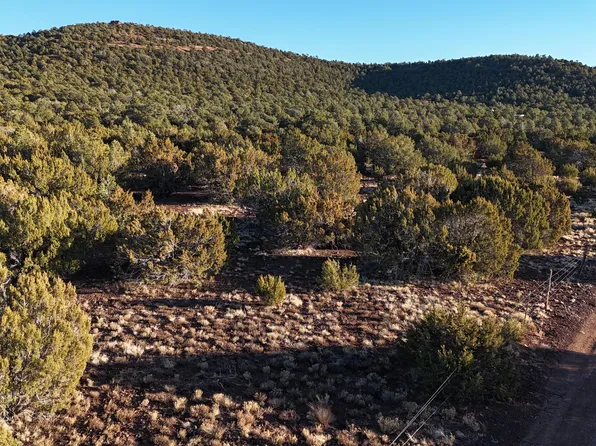 County Rd N #3314, Vernon, AZ 85940