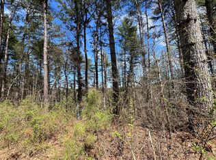 LOT 131 Jumper Dr, Ellijay, GA 30540