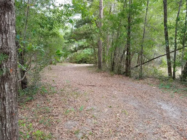 55 Forest Ln, Bronson, FL 32621