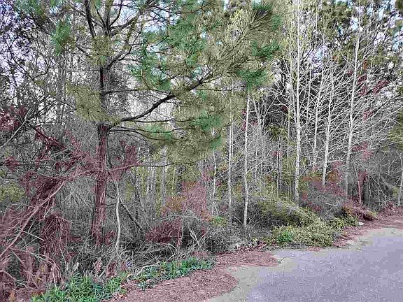 2nd image of Beaver Creek Run