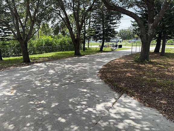 Driveway with Nice Shade