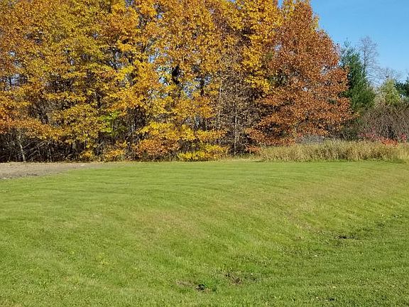 Build! Farm! Hunt! +/-39 Acres, Rush City, MN: building site from 560th St