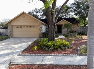 4221 Spring Way Cir, Valrico, FL 33596