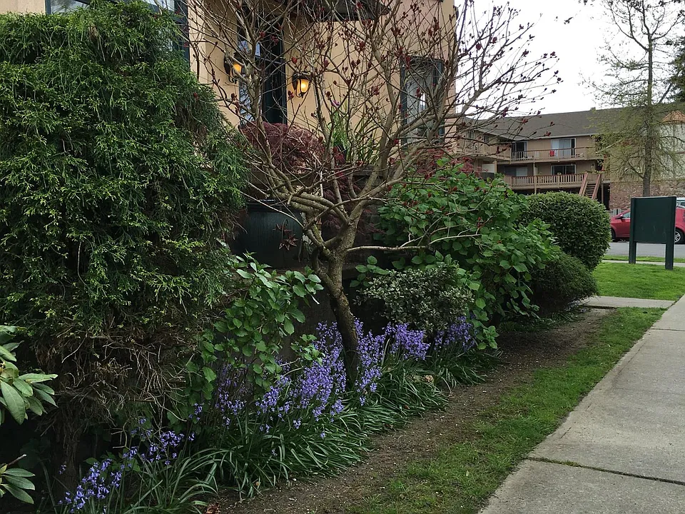 Professionally maintained grounds