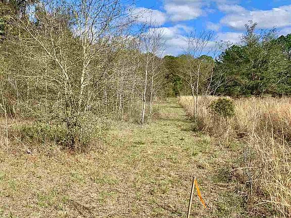 3rd image of 2919 SE County Road 234