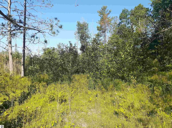7631 41 #F, Oscoda, MI 48750