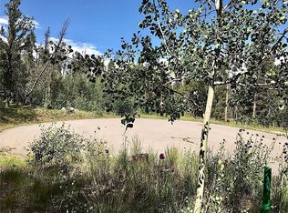 325 Park View Dr, Fairplay, CO 80440