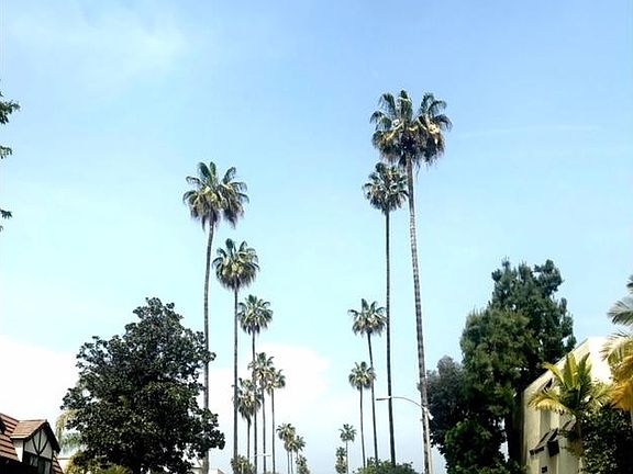 5th image of 306 S El Molino Ave APT 303