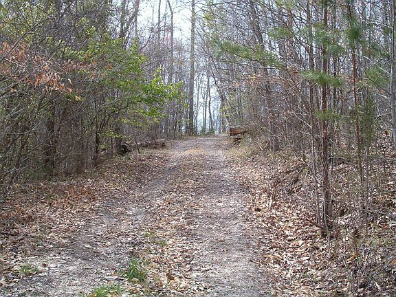 5th image of 141 Woods Ln
