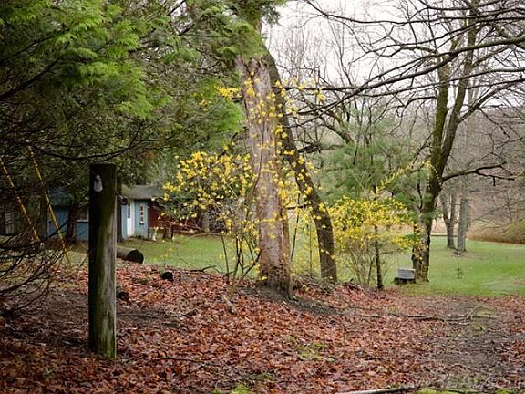 3rd image of 1149 N Lakeshore Rd