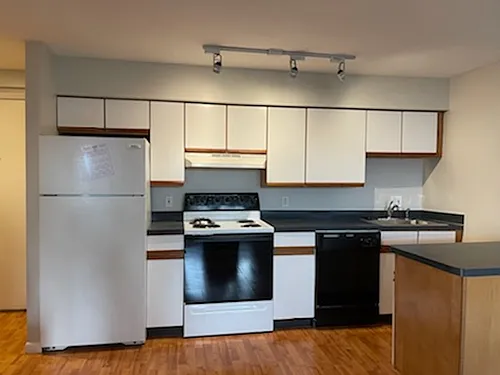 10 Roberts St Photo 1