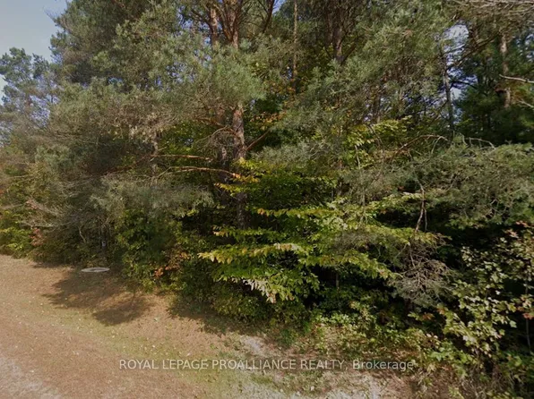 0 Airport Rd, Addington Highlands, ON K0H 2G0