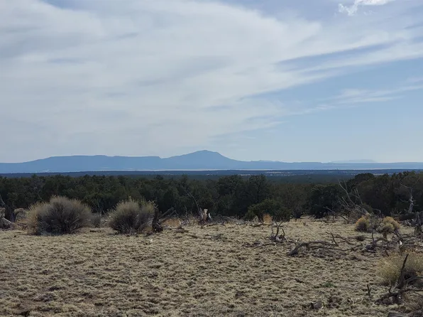 Pine Rd, Pie Town, NM 87827