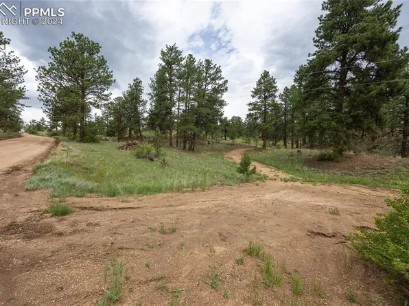 721 & 767 Circle Dr, Florissant, CO 80816