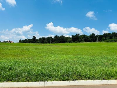79 Meadow Vista Way, White Pine, TN, 37890