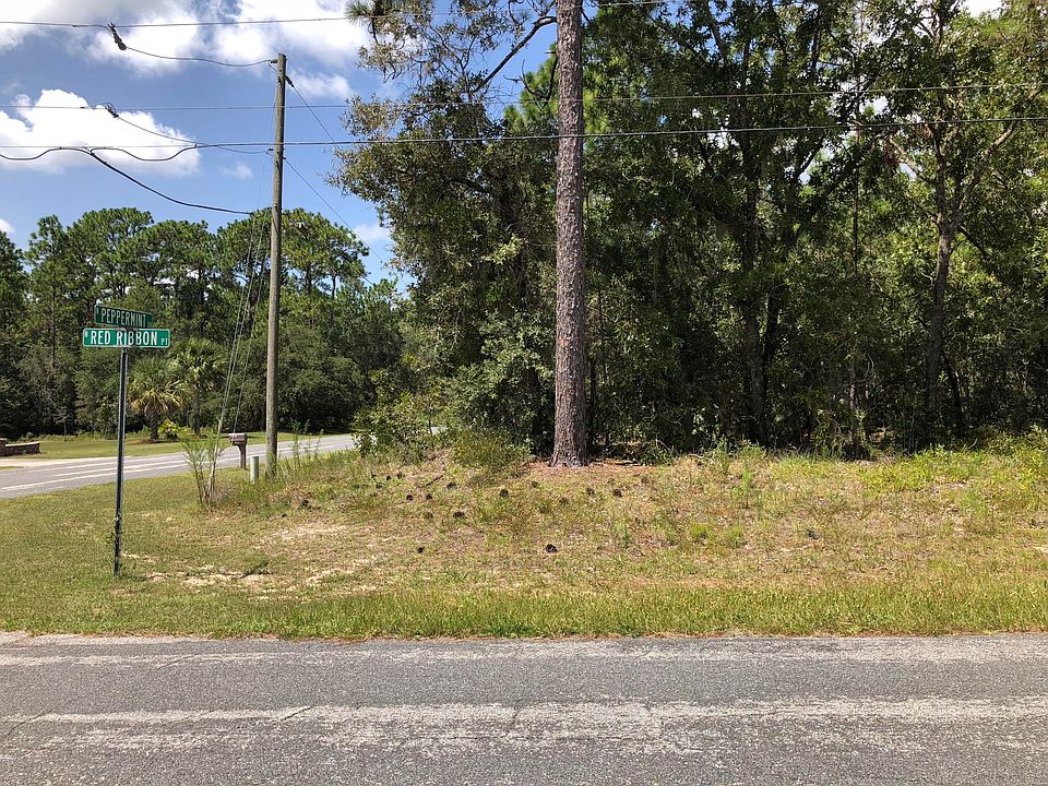1st image of 5498 N Peppermint Dr