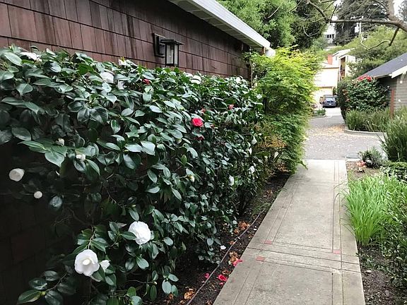 4th image of 3950 Canon Ave