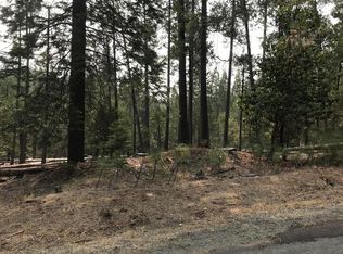 19455 Creek Dr, Pioneer, CA 95666