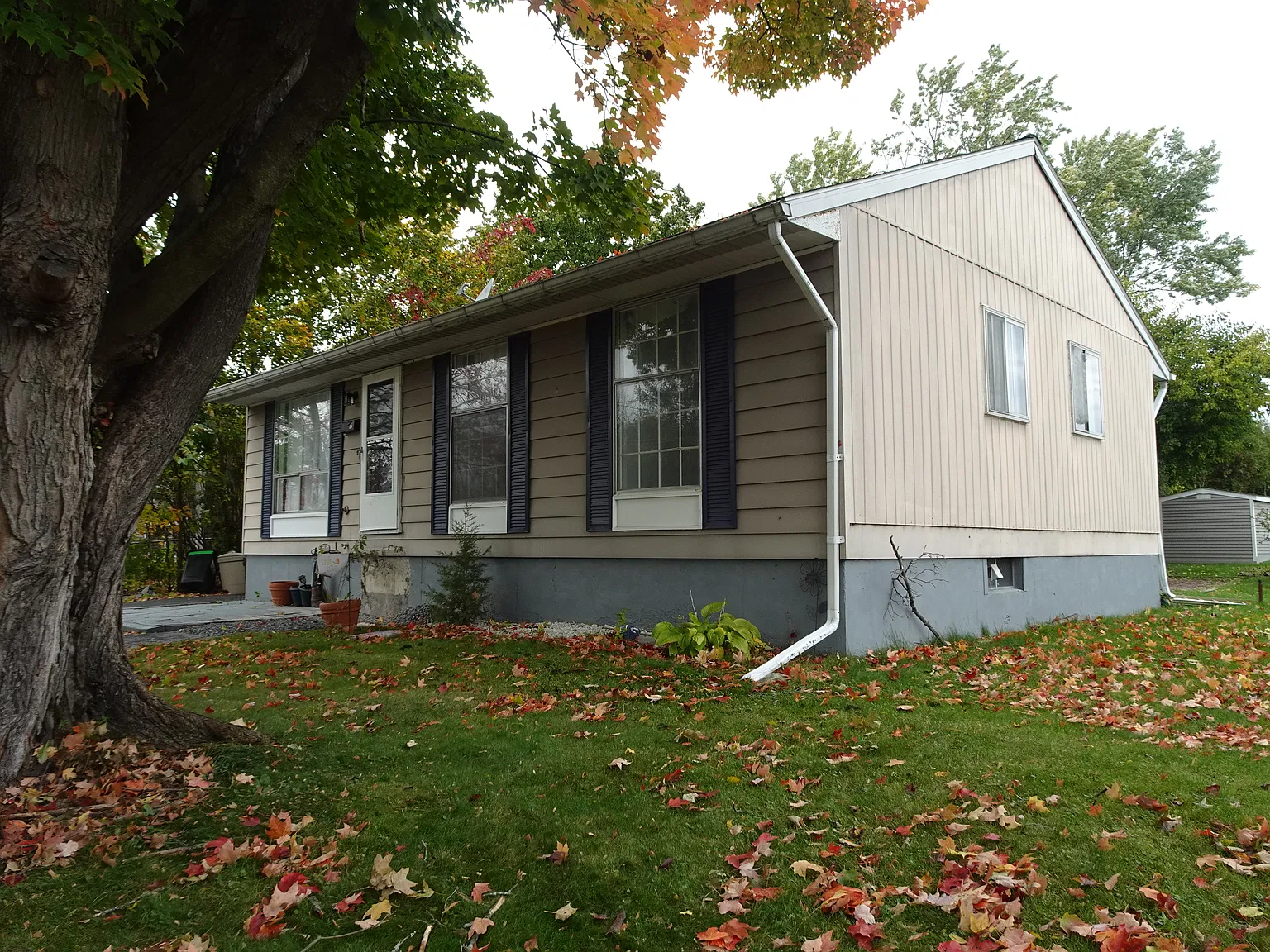 3 bed, 925 sqft, $1,950 — Photo 2