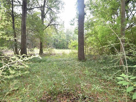 3rd image of 2971 New Belle Fontaine Blvd