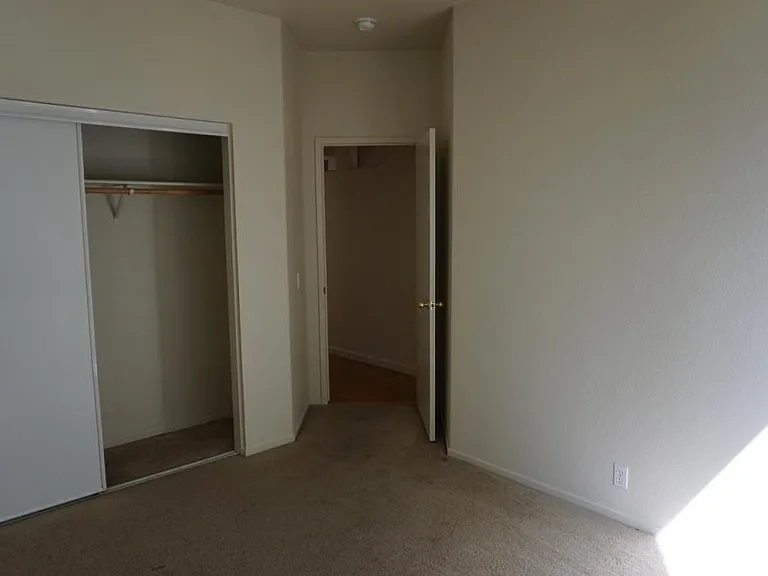 3526 San Francisco St — Photo 15