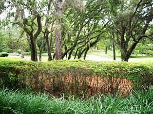 Over 2 acres